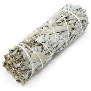 White Sage California Organic Medium Smudge (11 cm)