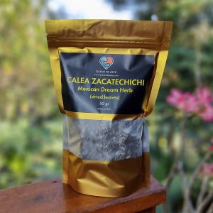 Calea Zacatechichi (Mexican Dream Herb) (50gr)