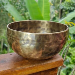 Hammered Singing Bowl Tiger Eye - B (19 cm, 1.2 kg)