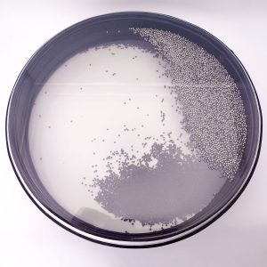 Wave Drum Double Vegan Leather "Yin-Yang" Large (40 cm)