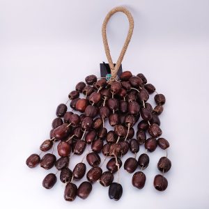 Pala Rubber Seed Shaker