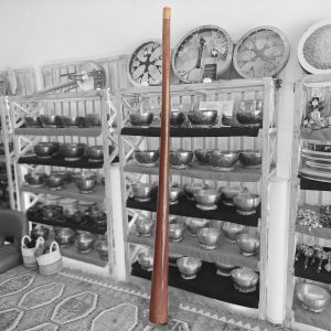 Wooden Didgeridoo Blood Wood (D2, 210 cm, 4 kg) (+ case)
