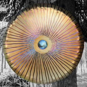 UNIVERSE GONG Vento (Wind Gong) "Golden Eye" VT60-0036 - Note G#2 (59 cm, 2.6 kg) (+ quality case)