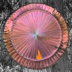 UNIVERSE GONG Violet Flame Special Edition GG-6233FV - Note D#2 (56 cm, 2.6 kg) (+ quality case)