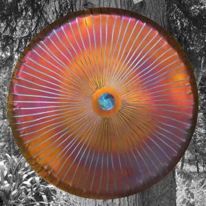 UNIVERSE GONG Vento (Wind Gong) VT80-0008 - Note E1 (79 cm, 4.6 kg) (+ quality case)
